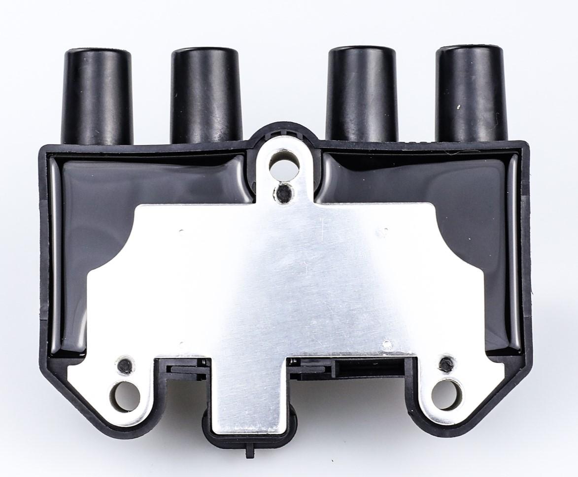 Ignition Coil | 19005252