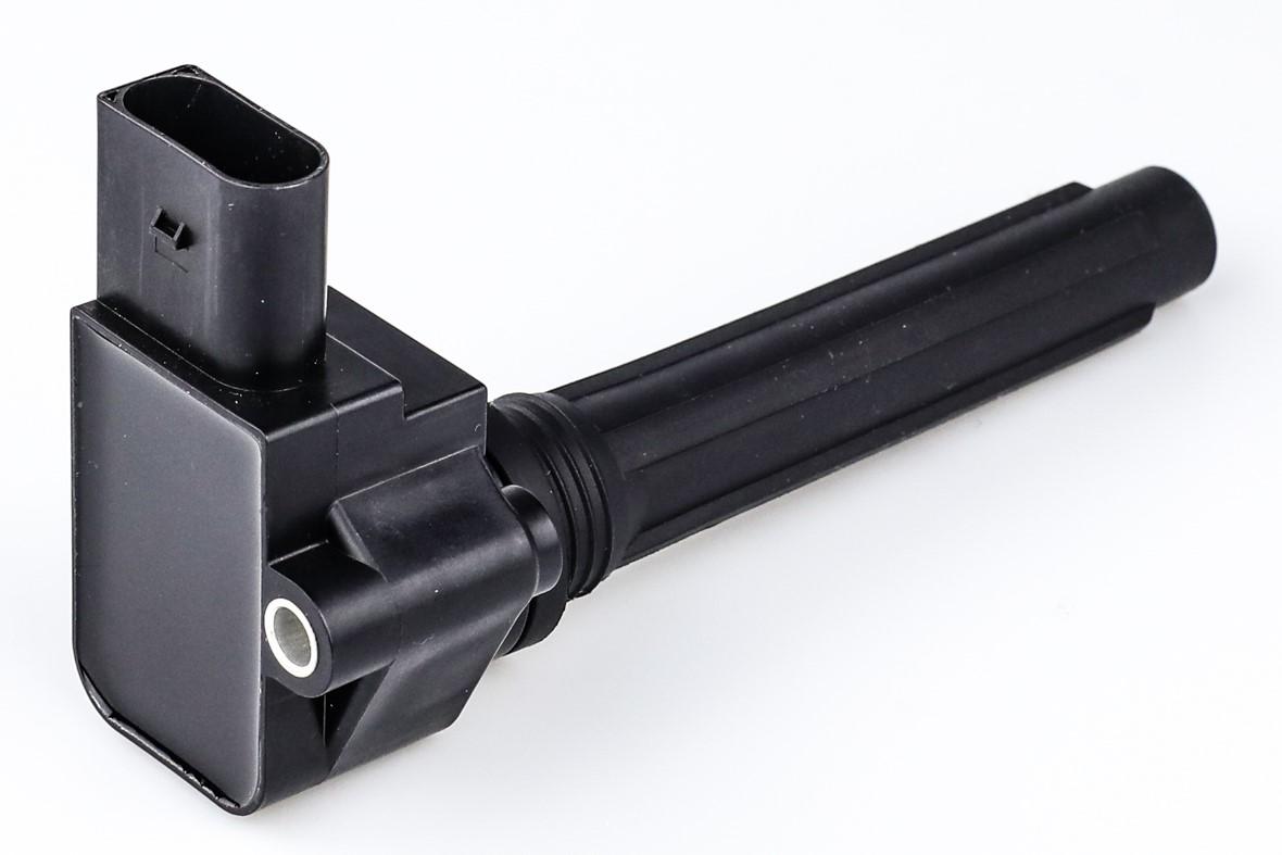 Ignition Coil | 079905110P