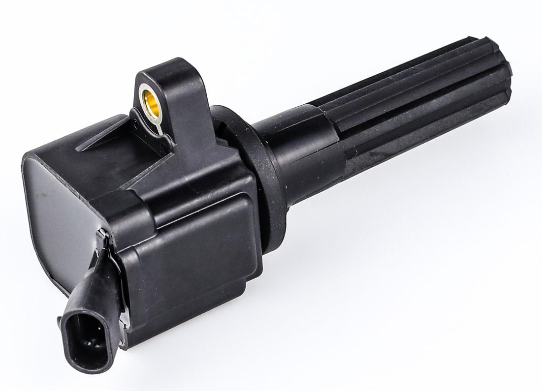 Ignition Coil | 12596547